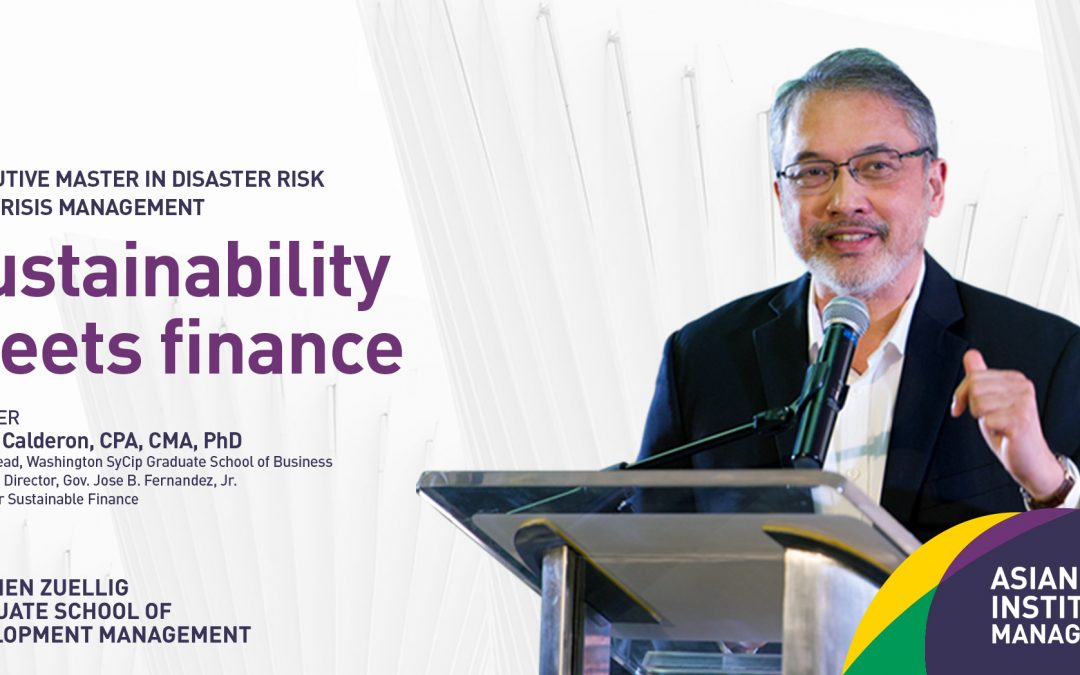 Sustainable Finance in Disaster Risk Management