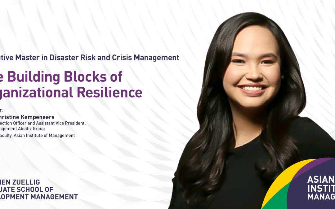 The Building Blocks of Organizational Resilience
